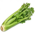 celery-150x141