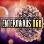 Enterovirüs-D68-150x150