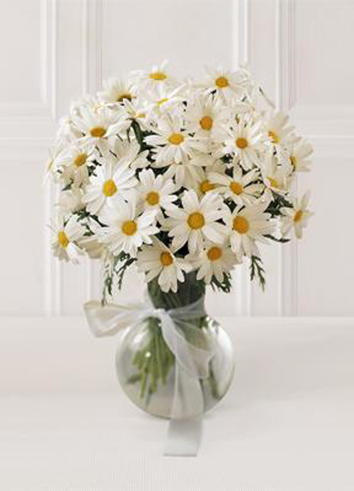 66098309-2ea1-4853-88de-dde4431d0928gül11