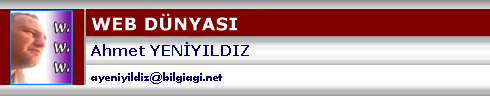 internetten-en-cok-para-kazandiran-isler