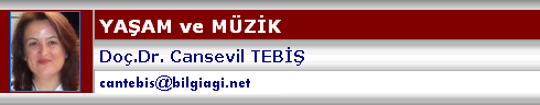 estetik-kaygilarin-yoksunlugu
