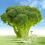 brokoli-2-150x150